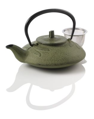 Dragonfly Cast Iron Teapot